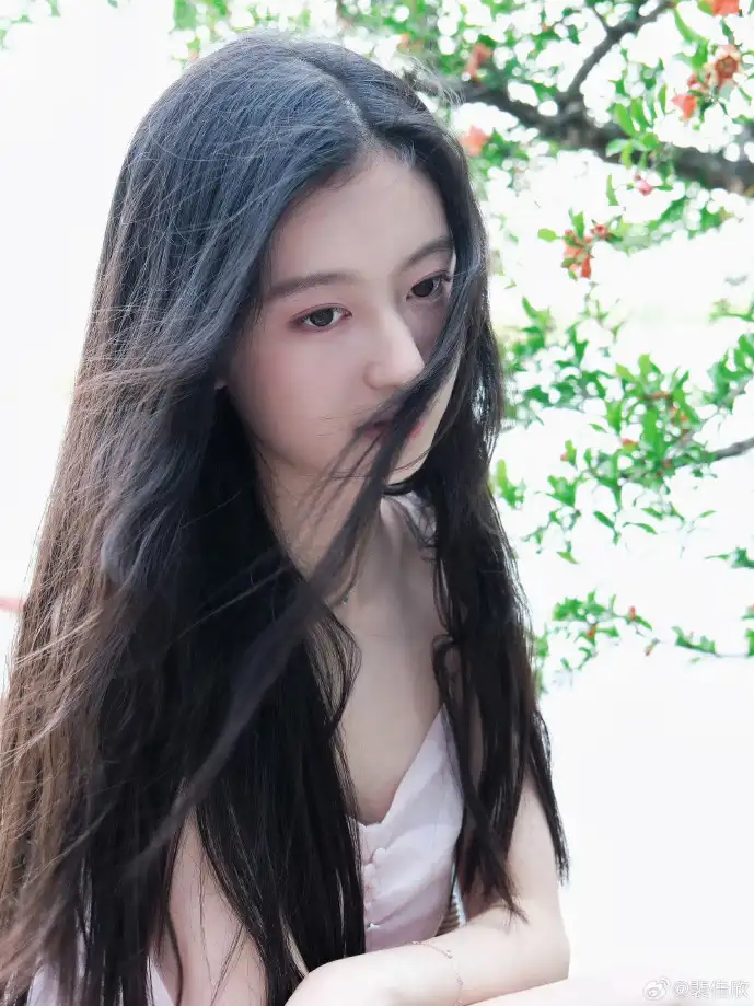 中文版游戏下载数据图表